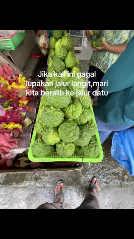 Anggir belah empat😅 #masukberanda #fypシ 