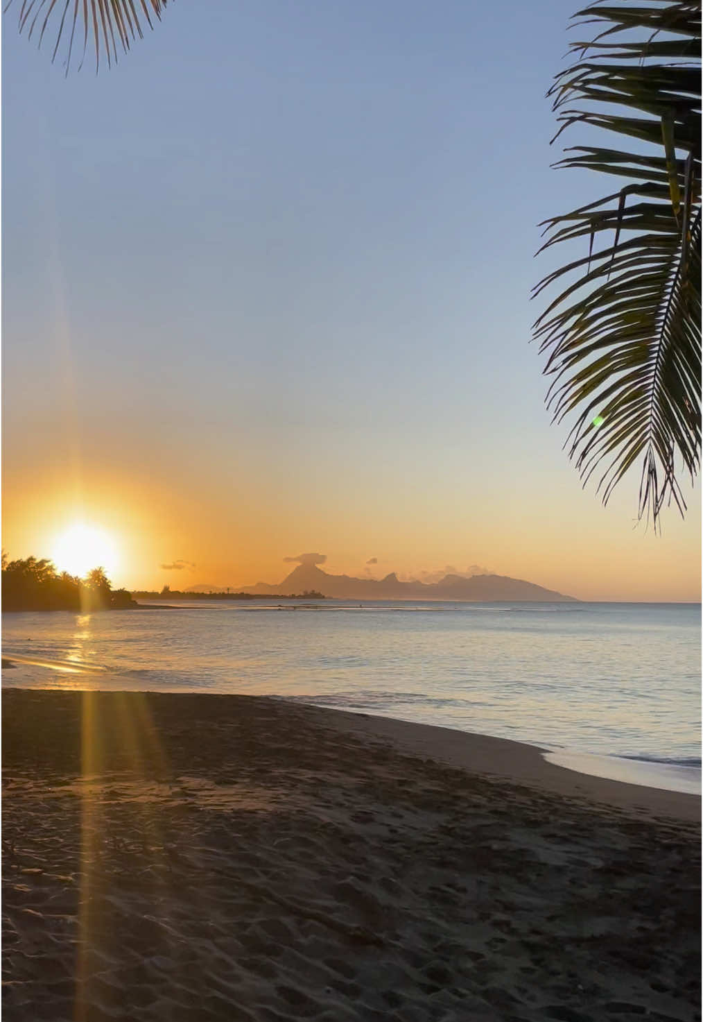 #tahiti #beachhouse #lafayettebeach #polynesiefrancaise #frenchpolynesia #sunset #sunsetlover #blacksandbeach 