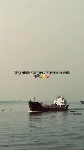 মানুষ মায়ায় পড়ে মুলত,, নিজেকে ধ্বংস করার জন্য.. 😊❤️‍🩹#foryou #foryoupage #fypシ #bdtiktok #sad #unfreezemyacount @TikTok Bangladesh @TikTok 