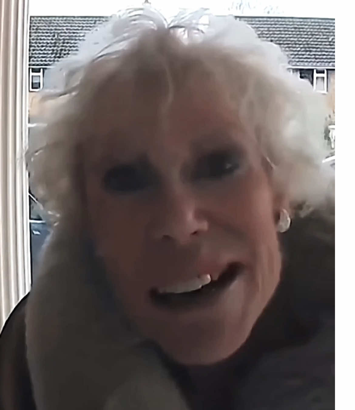 GORILLA DIVA.                shes so mother #edit #ringdoorbell #queen #diva #whoisthisdiva #videostar #funny #finalgirl #fyp