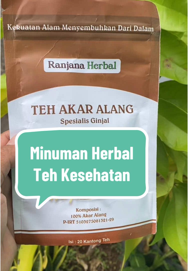 Teh Akar Alang-alang #minumanherbal #minumansehat #akaralangalang#jsr 