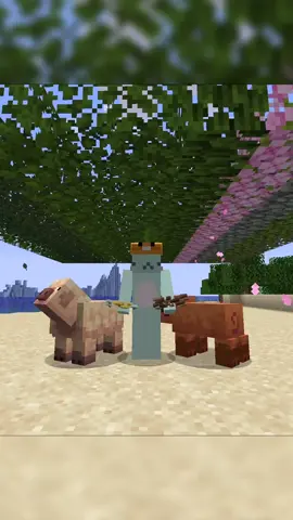 マイクラが重くなっちゃうかもしれない...！【マイクラ豆知識 解説 裏技】