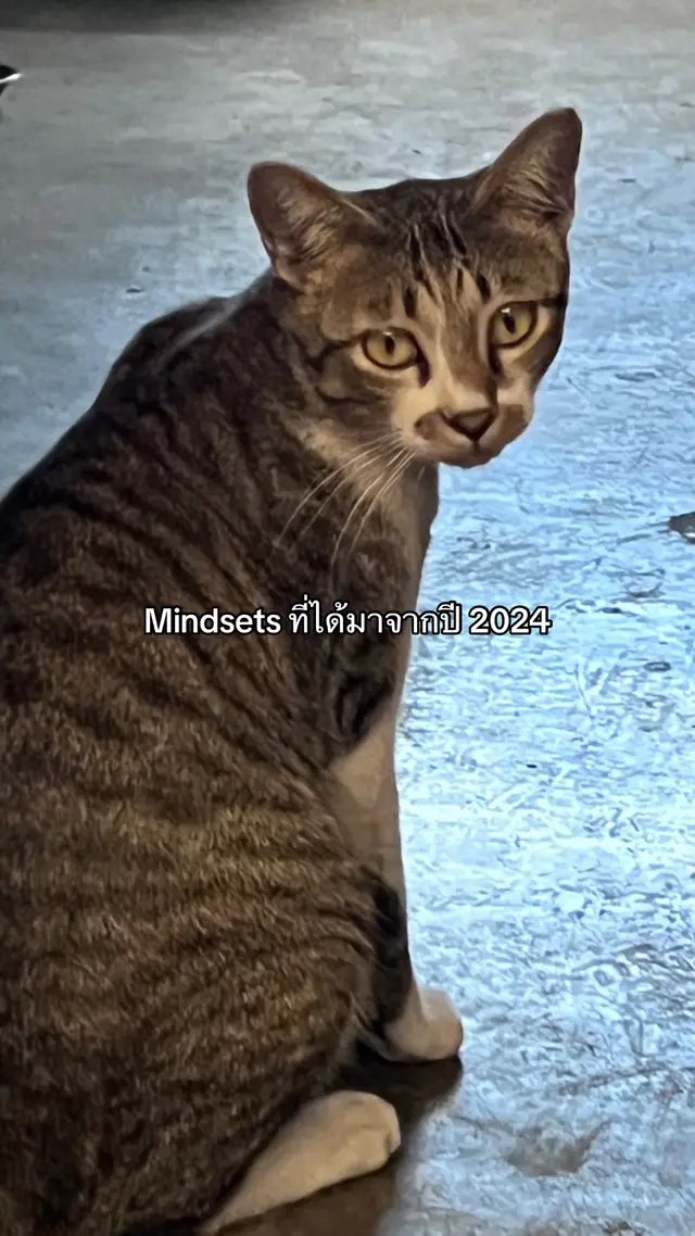 #เธรด #fyp #ฟีดดดシ #05 