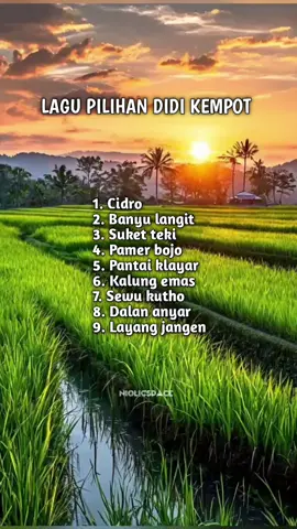 Lagu Pilihan Didi Kempot  #lagujawa #lagunostalgia  #niolicspace 