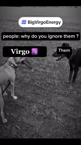 #VideoCredit @virgoyearsold ・・・ Big Virgo energy 😎✨ . . . #virgo #zodiac #astrology #explore #horoscope #fyp