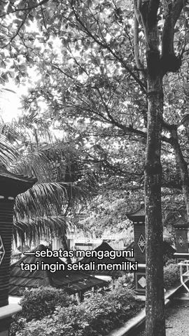 #fyp #mengagumidalamdiam 