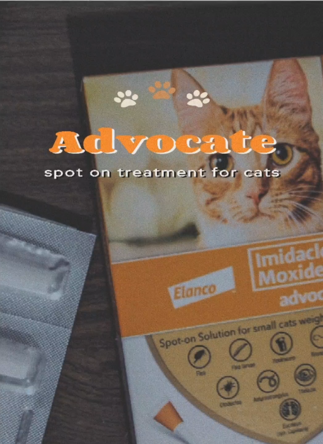 Advocate spot on solution for cats #catsoftiktok #advocate #catlover #tickandflearemover #mange 