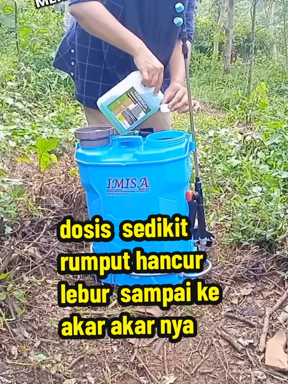 dosis sedikit rumput hancur lebur sampai ke akar akar nya#herbisida 