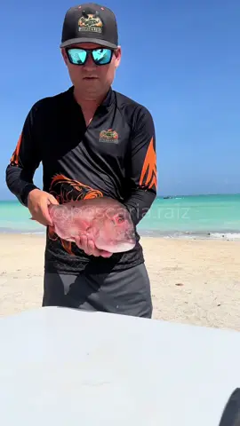 🔥 Peixe assado na praia… Assei uma cioba na brasa, e servi com vinagrete de abacaxi…esse peixe é muito saboroso.  Temperei a cioba com sal fino, limão, azeite e pimenta do reino. E coloquei pra assar. Enquanto isso fiz o vinagrete com: abacaxi, tomate, cebola roxa e cebolinha verde.  Receita bem simples, bem raiz    #chu#churrasconapraiau#churrascom#comidam#comidasimples r#pernambucoc#recifeo#foodscariaraiz #pesca 