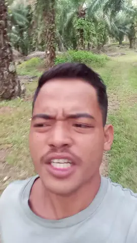 si paling kuat🔥 #videoviral #callmejemi #sawitmalaysia #pejuangringgit #sawitontiktok #lomboksasak #videosasak #lomboktiktok #rantauan #kulisawit #padahariini 