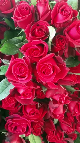 ★:يحكى أن أكثره‍م حباً أقله‍م لقآء وأقلهم لقآء أشدهم اشتياقاً...🥺 وانت شو رأيك  شاركنا بتعليق ..