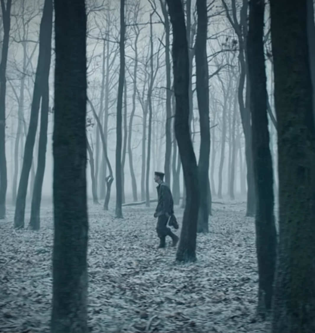 #ALLQUIETONTHEWESTERNFRONT - the cinematography is gorgeous #allquietonthewesternfrontedit #paulbaumer #felixkammerer #netflix #fyp 