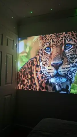 Magcubic HY-300 Pro ✅ 4K Ultra HD Support ✅ Native 1280*720 ✅ 8000 lumens ✅ 260 ANSI ✅ Android 11.0 ✅ WiFi 6 ✅ Screen mirroring ✅ Upto 140