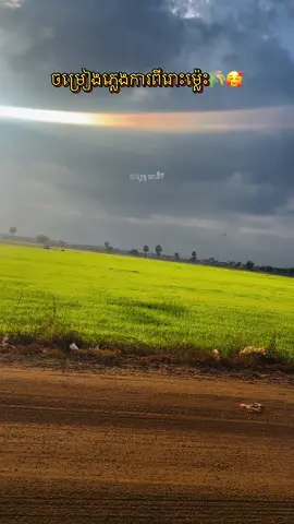 #ពីរោះណាស់🌹💝🌹 #ភ្លេងការ #ភ្លេងការពីរោះរណ្ដំ #ស្រីសសំពោង #ចម្រៀងពីរោះៗ #បែបស្រុកស្រែ #ទេសភាពស្រុកស្រែ🌄🏜️🌱🌼🌾🐟 #ស្រុកស្រែ #ពេទ្យឌូពោធិ៍ទី #កូនអ្នកព្រៃវែង #ty #fyp #foryou #lover #foryou #lover #khmertiktok #cambodia 