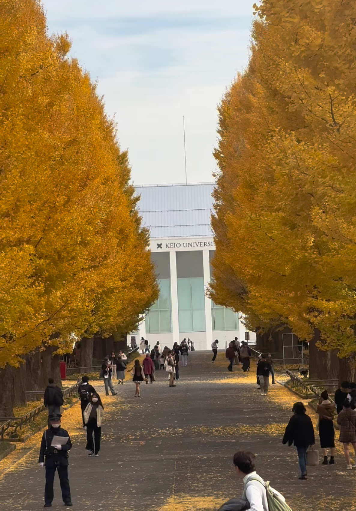 Keio University Hiyoshi Campus🍂 #Japan #japanuniversity #japanese #japanlife #japanlife🇯🇵 #dailylife #studyabroadlife #studyabroadjapan #慶應 #慶應義塾大学 