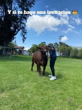 🤠😍🤠 #agroexpo2025 #invitacion #ganado #caballos #ovinos #porcinos  #campo  #2025 #viral_video 