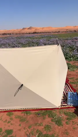 #كشتة #اكسبلور #الجوف_سكاكا #خوعا #شماليه❤️😚 #كشته_طلعه_بر_وناسه #تصاميم #الرياض_جده_مكه_الدمام_المدينه #الهدوء_راحة_نفسية 