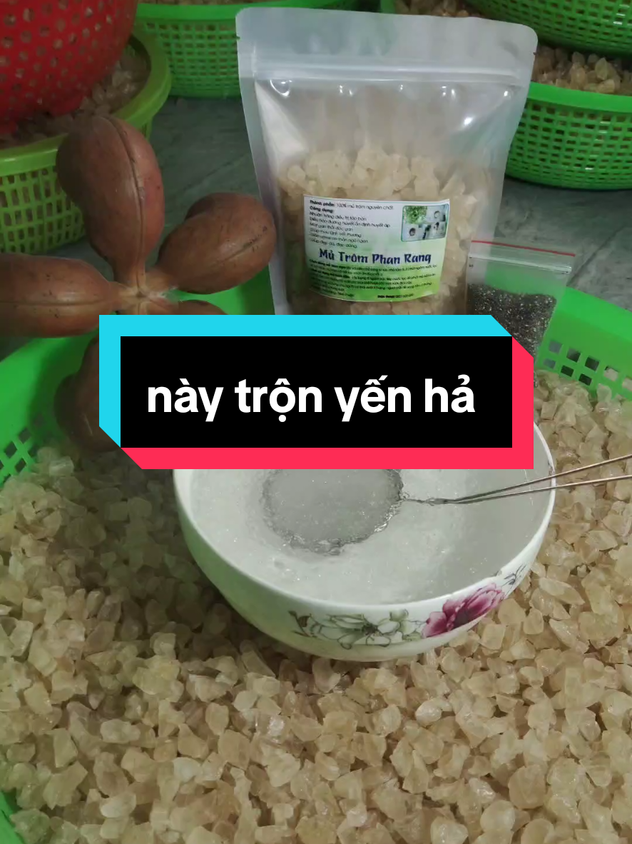Trả lời @tsd249 này phải hỏi mấy thím bán yến chứ sao em biết ❤️😅#hatgiongcaytrom #thinhhanhtiktok #thinhhanhtiktok #mebimlapnghiep #nghechuchot #mutromphanrang #giaitritiktok #giainhiet #xu #thinhhanh #mủtromgiainhiet #thietnguyen191196 #ancungtiktok #ancungtiktok #xuhuongtiktok #mutromsach #xuhuongtiktok #xuhuong #mebimlapnghiep #videongan #ancungtitok #TikTokAwardsVN #kỷ niệm xưa 