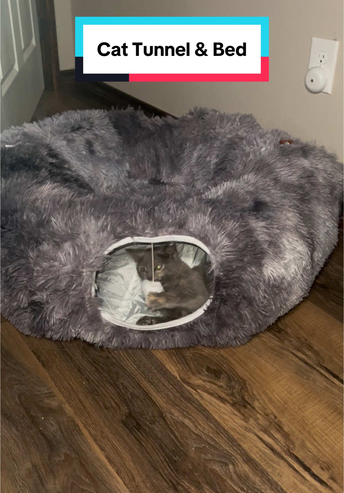 This plush cat bed with built in tunnel will give your cats hours of entertainment, fun, and exercise. #cats #catsoftiktok #kitten #cattoys #catbed 