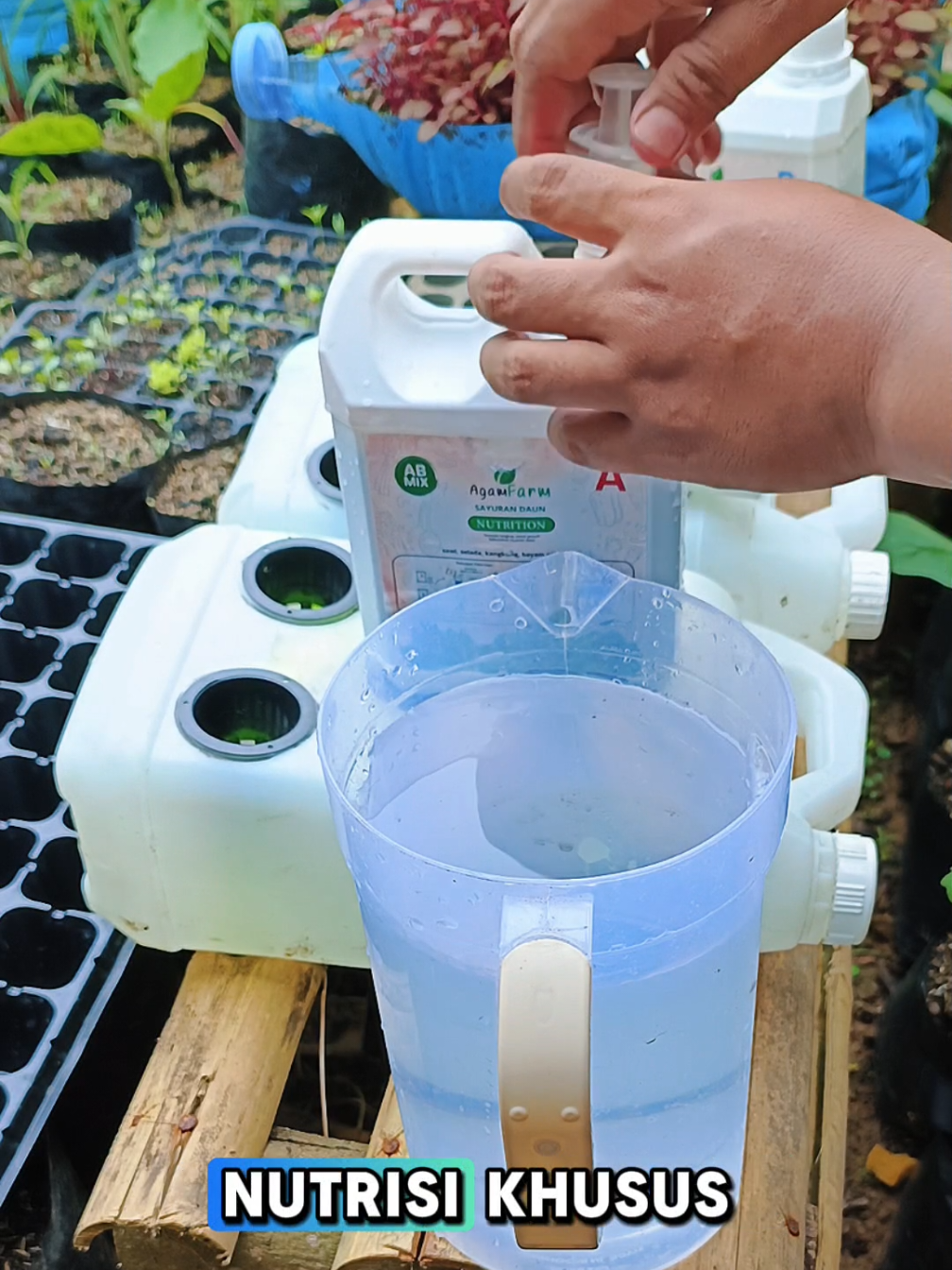 RAHASIA TANAMAN HIDROPONIK sayuran SUBUR & CEPAT PANEN! (Cuma Pakai Ini!) ab mix dari agam farm Nutrition sayuran #taniboom #agamfarm #nutrisi #nutrisiabmix #abmix #wibgajian #cuantanpabatas #hidroponik #hidroponikpemula 