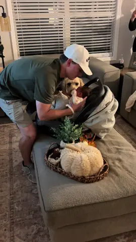 Full video of Clancy meeting baby Lorin for the first time! (P.s. his collar is for our electric fense, a lab’s nose will take them anywhere so it beeps when he gets too close to the road❤️) 