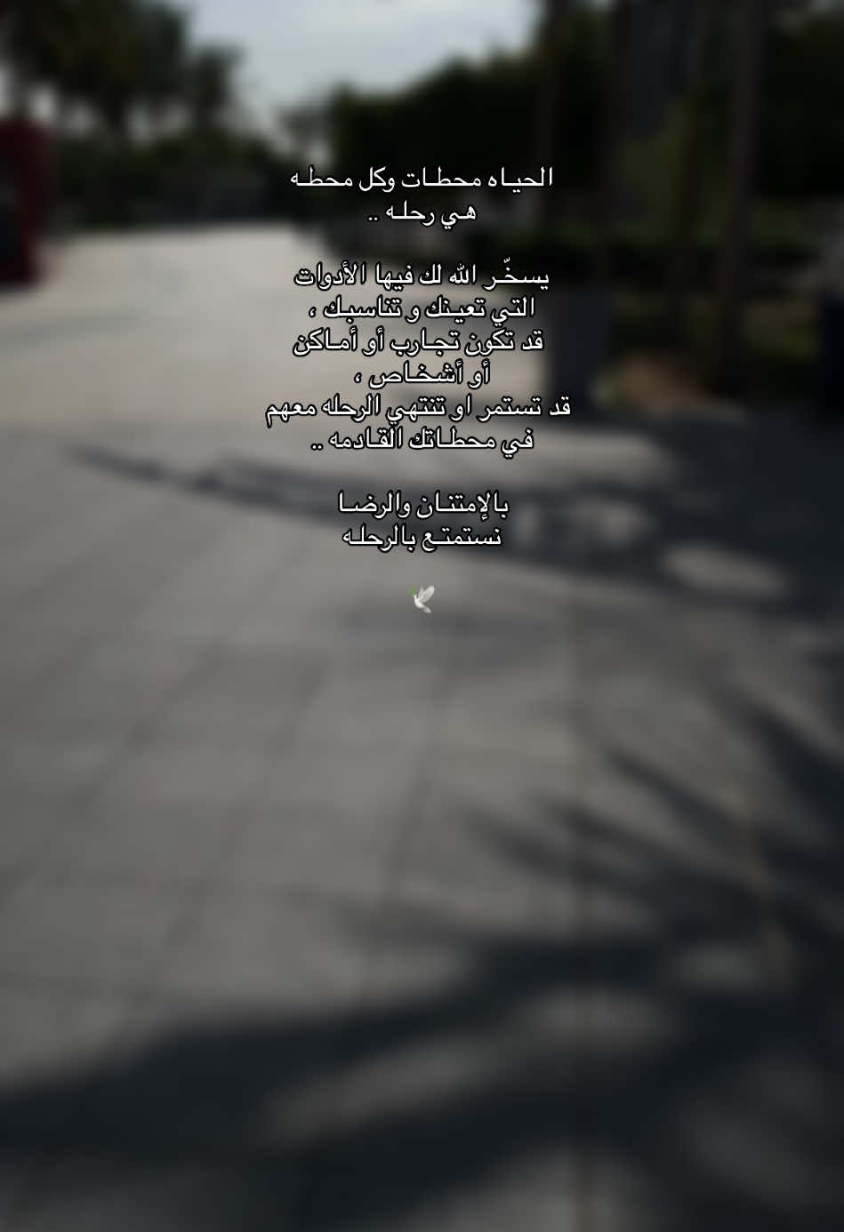 الحياه محطات 🕊️🍃 #نصيحة #هدوء #الحياه #جمال_الحياة #الحمدلله_دائماً_وابداً #foryou #fypシ #اكسبلورexplore #اقتباسات📝 