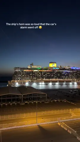 #cruiseship #fail #cruisetok 