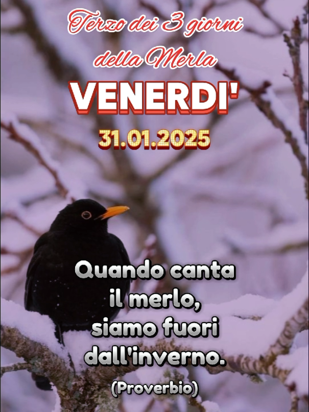 #CapCut #neiperte #buongiorno #31 #gennaio #2025 