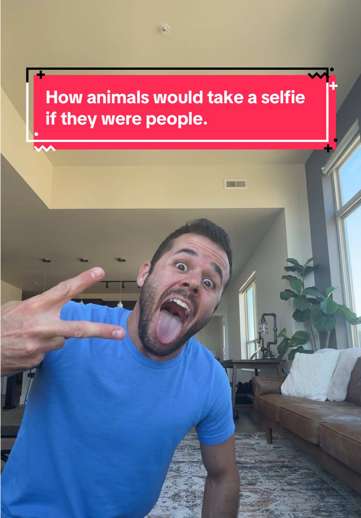 How animals would take a selfie if they were people.