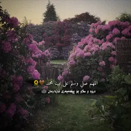 شەوی جومعەیە تا پێتان دەکرئ سەڵاوات لەسەر پێغەمبەری نازدارمان ‎ﷺ لێدەن‎ 🤎 اللهم صلی علی محمد وعلی ال محمد🌻🤎#foryou #azima_husen 