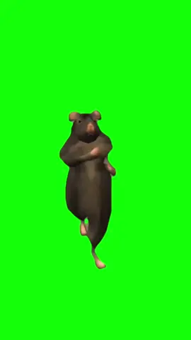 Rat dance meme #ratdance #memecut #meme #CapCut 