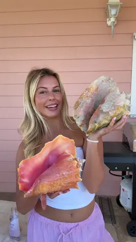 part 1 lets bleach this conch !!! 🐚 hoping it turns out just as pretty as the last 🩵