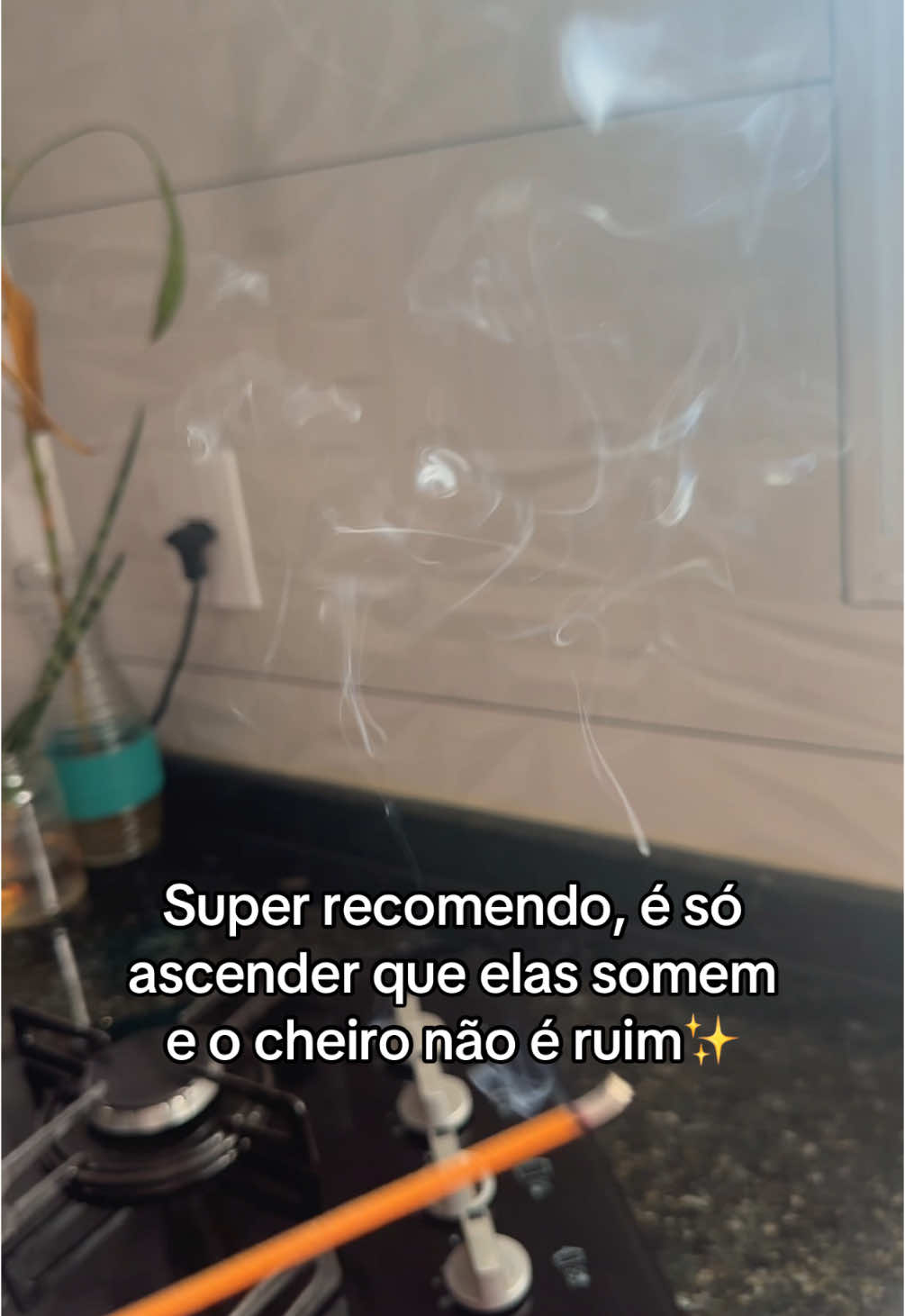 É só pesquisar incenso repelente na shopee que aparece esses queridos #shopee #incenso #dicas #espantamosca 