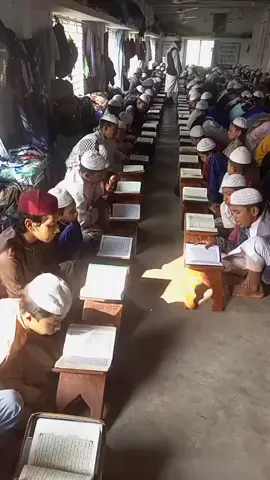কোরআনের পাখিগুলা সুমধুর কন্ঠে কোরআন তেলাওয়াত করতেছি মাশাআল্লাহ  #ইসলামিক_ভিডিও_🤲🕋🤲 #সাপোর্ট_করলে_সাপোর্ট_পাবে #টিকটক_বাংলাদেশ_অফিসিয়াল🇧🇩🇧🇩🇧🇩 #viralvideo #youtiktok #foryoupage #furyou #tiktok #❤️ 