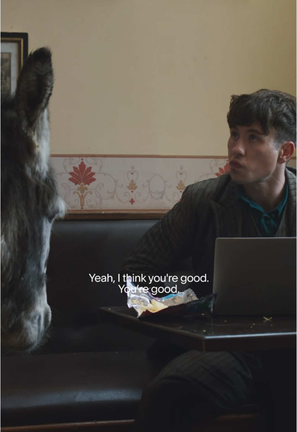 What a darlin Mosley.. Good aul tale of SQUARESPACE  🫏☘️ @Squarespace 