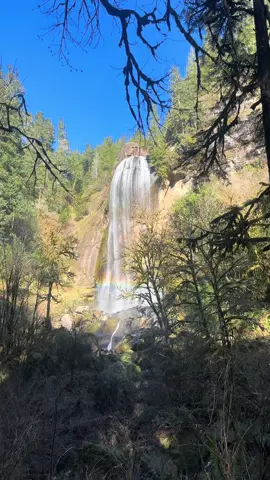 Is the world burning down bumming you out? Me too. Follow along as I see nature while it’s still here. #travel #waterfall #overit 