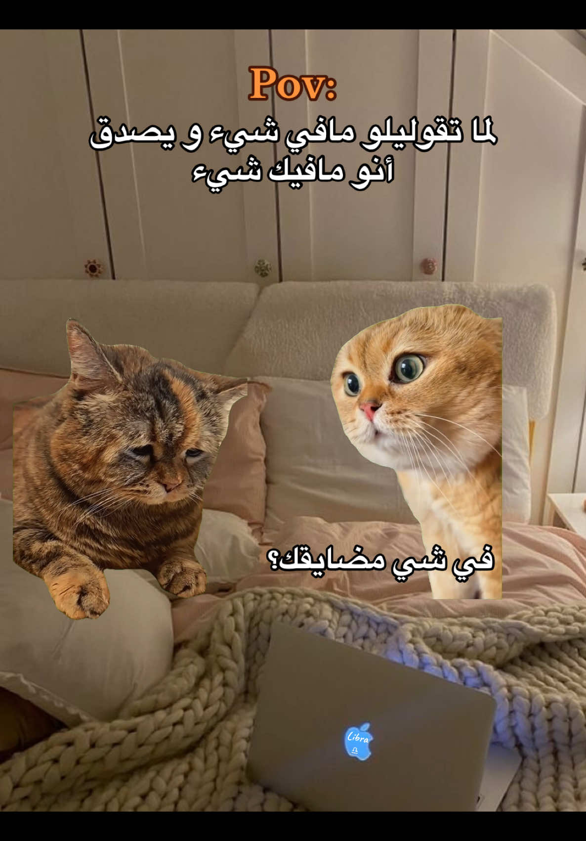 #CapCut مافي سيء ليه ما يفهمني؟ #زوجي #انا_و_زوجي#ميمز #قطط #fyp #explore 