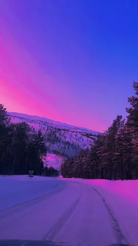 gliding through paradise. #freedom #nature #snow #winter #peace #Hiking #fyp 