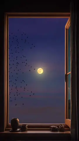 Moon 🌙