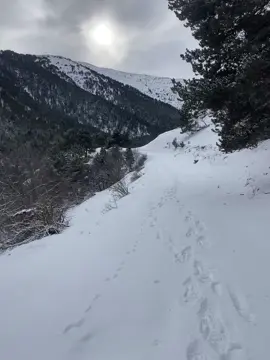 Excursión de raquetas a Montgarri! #nieve #montgarri #pirineos #pirineu #vielha #hivern #invierno #raquetas #nieve #neu #pladeberet #raquetasdenieve #porfin 