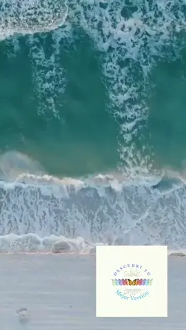 Aceptación😀😀 #elmotivo #motivos #aceptar #axel #shorts