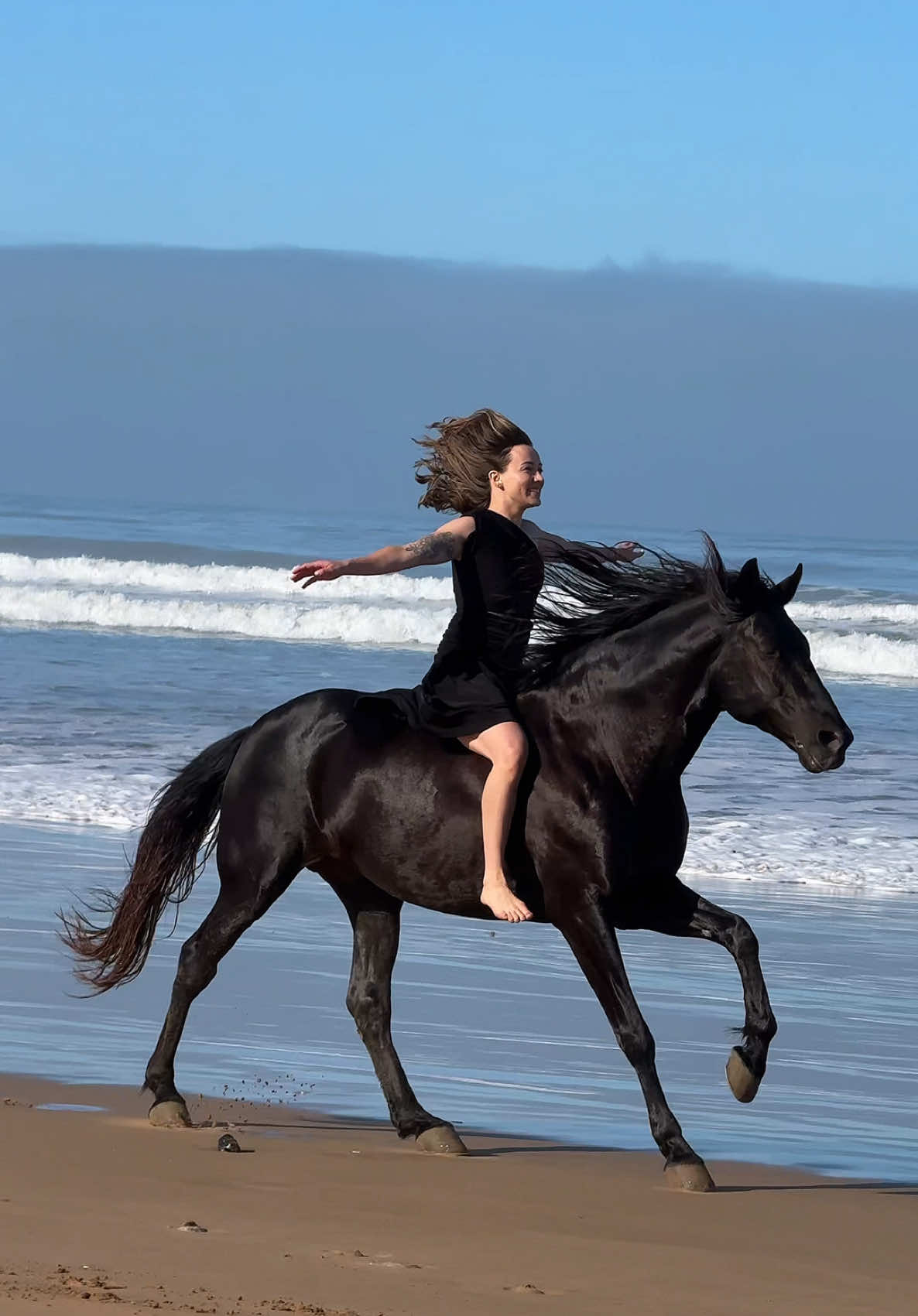 Unstoppable  #horseoftiktok #foruyou #explore #marrakech #horse #essaouira #trending #morocco🇲🇦 #fyp #tiktok 
