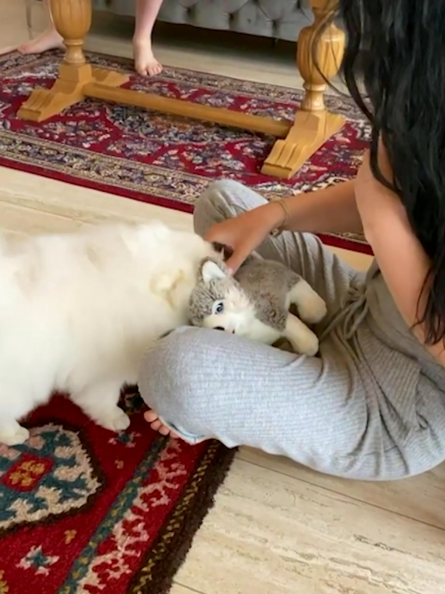 he doesn't think it's funny 🐶 #Ridiculousness #funny #reaction #dogs