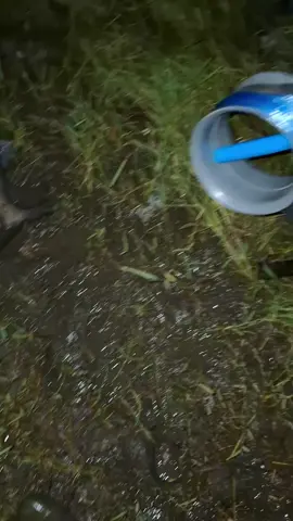 2 kilo lumayaannnn,, timbang lumajang adoh🤩 #fypシ #kediri24jam #fyptiktok #mancingviral #huntergendeng #mancingmania #kalibrantas #fypシ゚ #masukberanda #foryoupage 