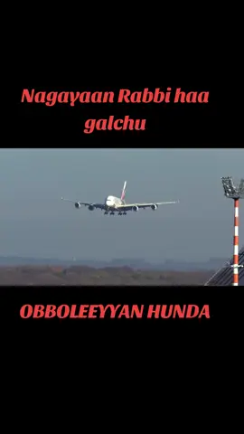 #creatorsearchinsights #oromotiktok❤️💚❤️ethiopiantiktok #ethiopian_tik_tok🇪🇹🇪🇹🇪🇹🇪🇹 #muslim_tiktok_video_status🕋🕋🕌🕌 #creatorsearchinsights #viral_video #vidio #oromotiktok❤️💚❤️ethiopiantiktok @@Rammee_TV🌹 @ABU YAASIR JIMMAA @Musxafaa Mohammad official @✅Abbaas Haajii🎤 