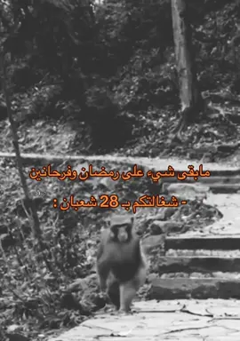 #اكسبلورexplore #اكسبلورر #رمضان #viral #pov #ضحك #اكسبلور #مالي_خلق_احط_هاشتاقات #الشعب_الصيني_ماله_حل😂😂 #fyp 