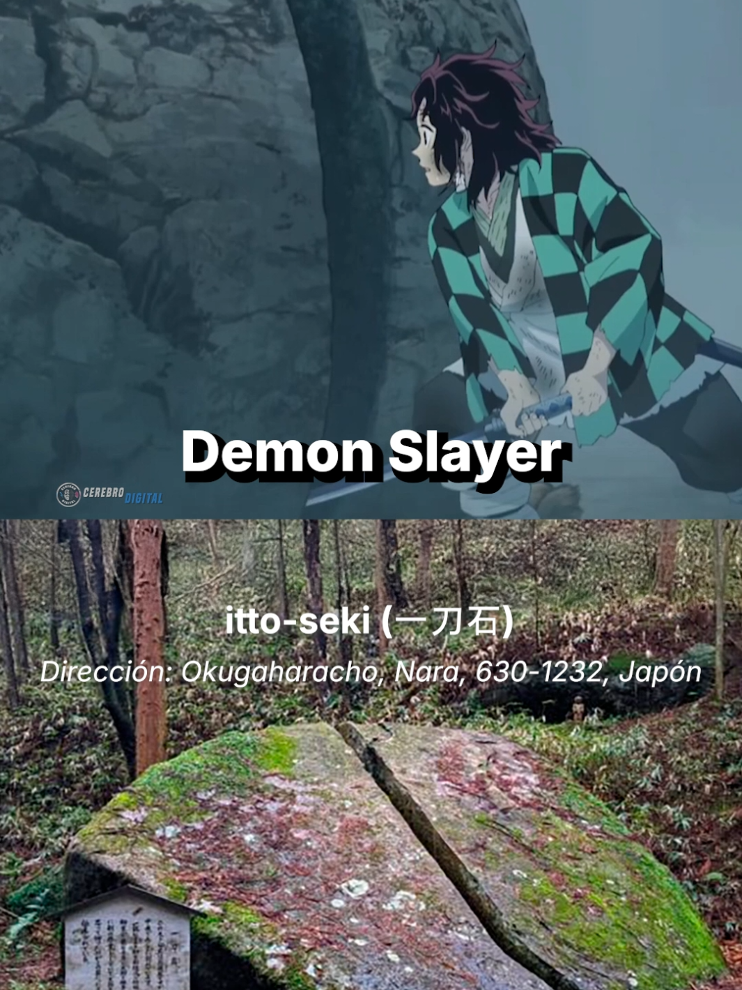 Japón en el anime 🇯🇵🎌 vs. la vida real 🌏🏙