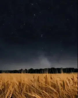 #CapCut #قرآن #كريم 