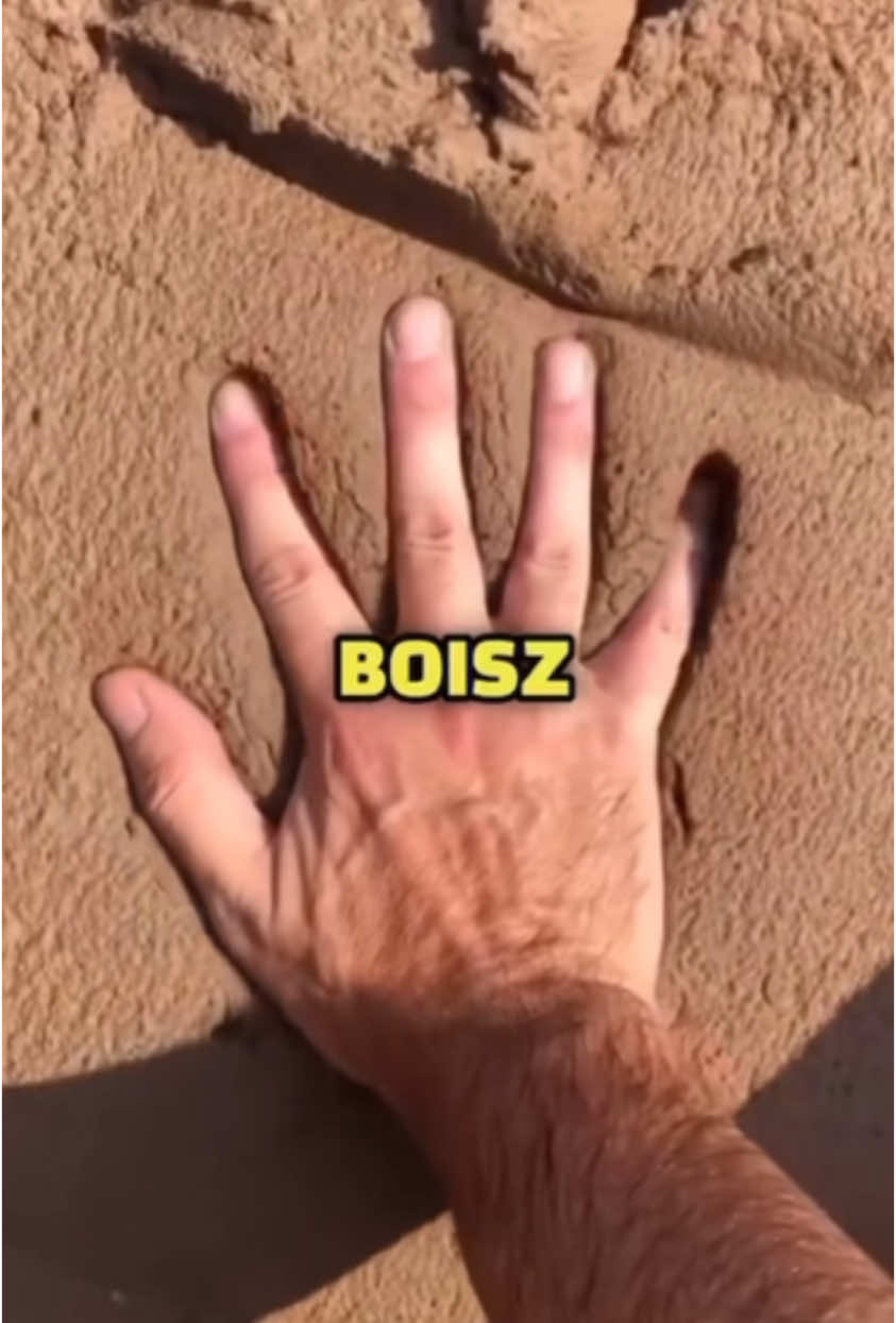 Ciekawe Fakty 👀 #ciekawostki #faktypsychogiczne #polskitiktok #facts #fakty #ciekawefakty #ciekawe 