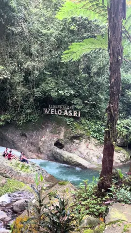 🥺 #petungkriyono #fypシ゚viral #xybca #prayforpekalongan #pekalongan #wonderfulindonesia #pekalongan24jam #beranda 